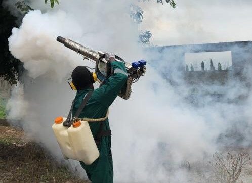 Fumigation service, pest control, integrated pest management, fumigation in Abuja, Abuja fumigation, pest control company in Aabuja