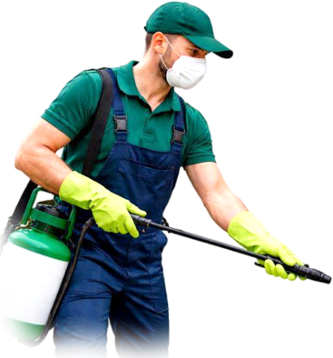pest control sevices in Abuja